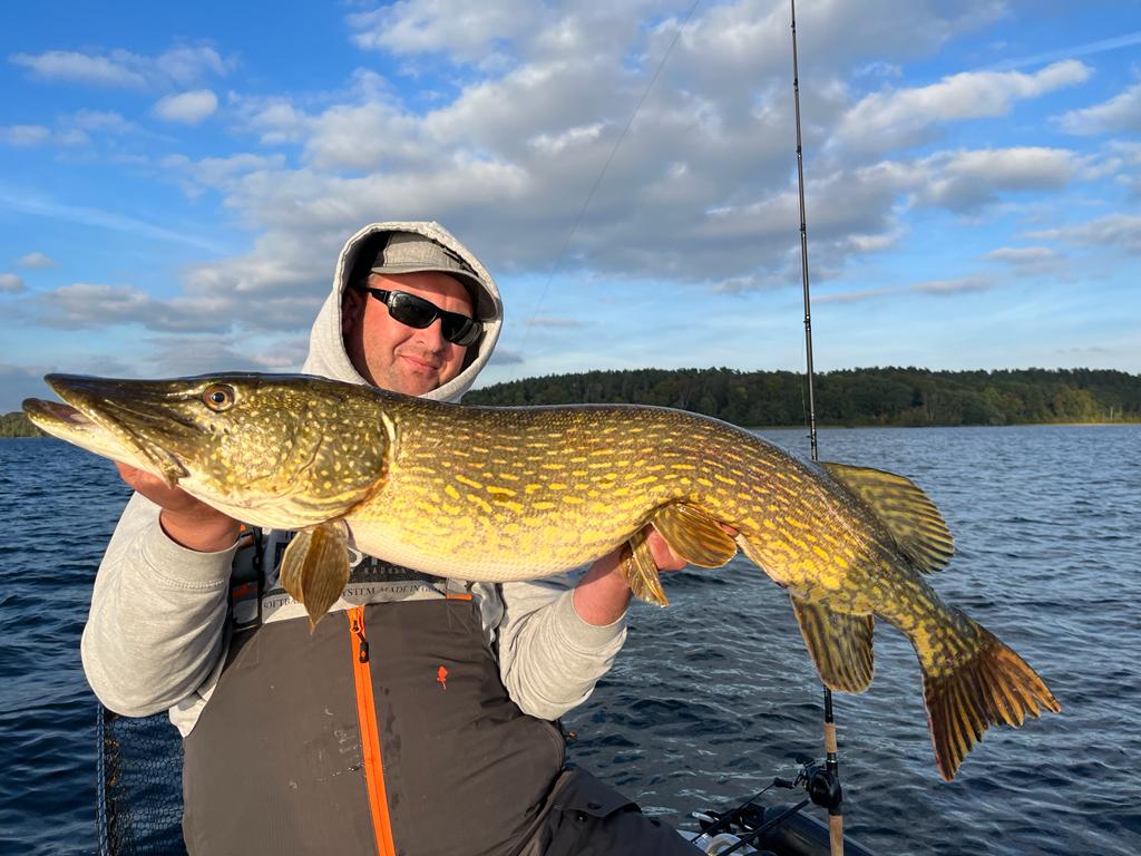 Channa Tail