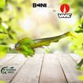 VMC Mustache 40gr Chatreuse + Bonibaits Happy Slim 23cm