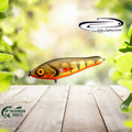 Snappy M Plauer Perch UV