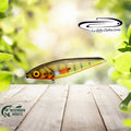 Victim L Plauer Perch UV
